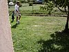MOV00332.jpg