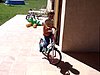 MOV00338.jpg