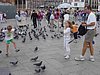 DSC04678_2.jpg