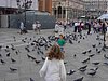DSC04684_2.jpg
