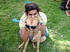 chiens 008.jpg