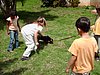 chiens 015.jpg