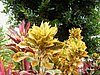 appareil photo 042.jpg