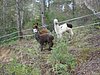 DSC03353.JPG