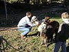 DSC03367.JPG