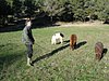 DSC03373.JPG