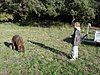 DSC03374.JPG