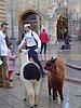 DSC05346.JPG