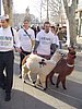 DSC05352.JPG