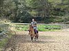 DSC05994.JPG