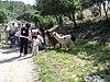 DSC03845.JPG