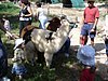 DSC03850.JPG