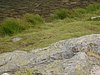 DSC04217.JPG