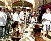 DSC00581.JPG