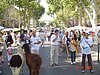 DSC07467.JPG