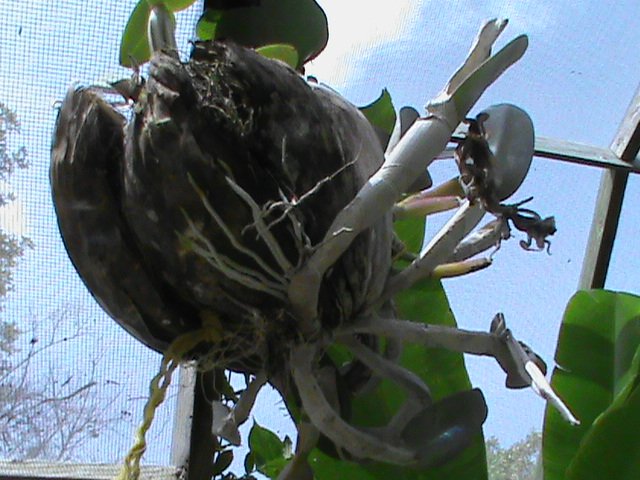 DSC00152.JPG