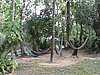 DSC00198.JPG