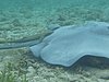 baccy caye 107.JPG